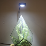 植物燈有用嗎？植物燈哪裡買？3分鐘了解植物燈原理與優缺點！