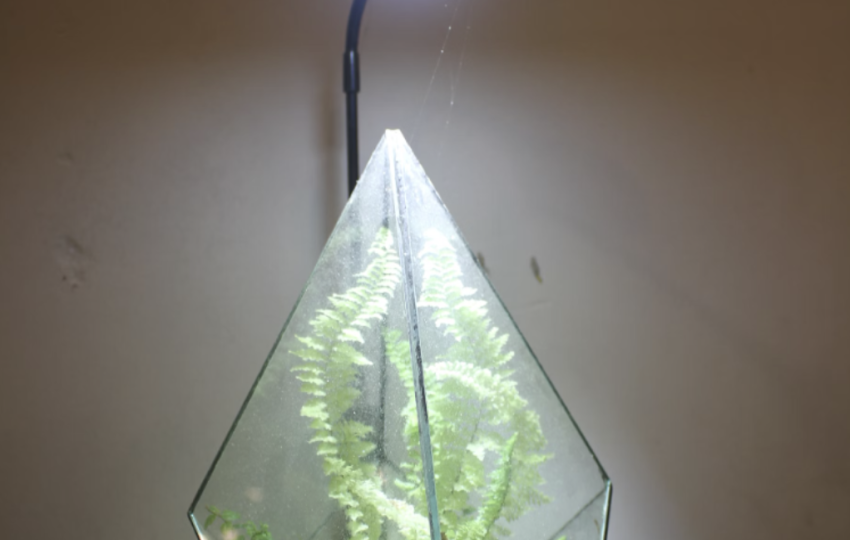 植物燈有用嗎？植物燈哪裡買？3分鐘了解植物燈原理與優缺點！